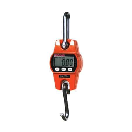 Valley Scales | Anyload OCSL Mini Crane Scale