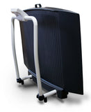 Rice Lake 350-10-3 Dual-ramp Wheelchair Scale