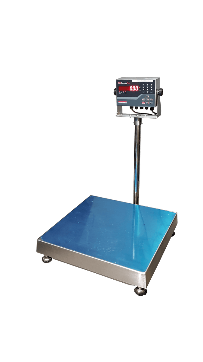 Valley Scales | Rice Lake Synergy 680 Anyload TNS Washdown Scale