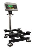 Themis PTC-30 12" X 12" Economical Bench Scales