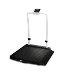 Rice Lake 350-10-2 Single Ramp Wheelchair Scale