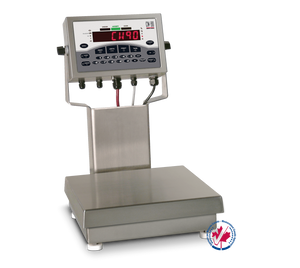 Rice Lake CW-90 Checkweigher Scales