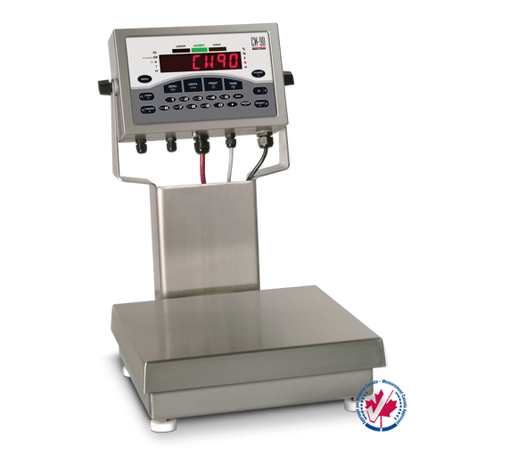 Rice Lake CW-90 Checkweigher Scales